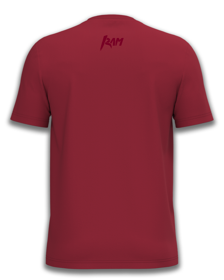 T-shirt Smash
